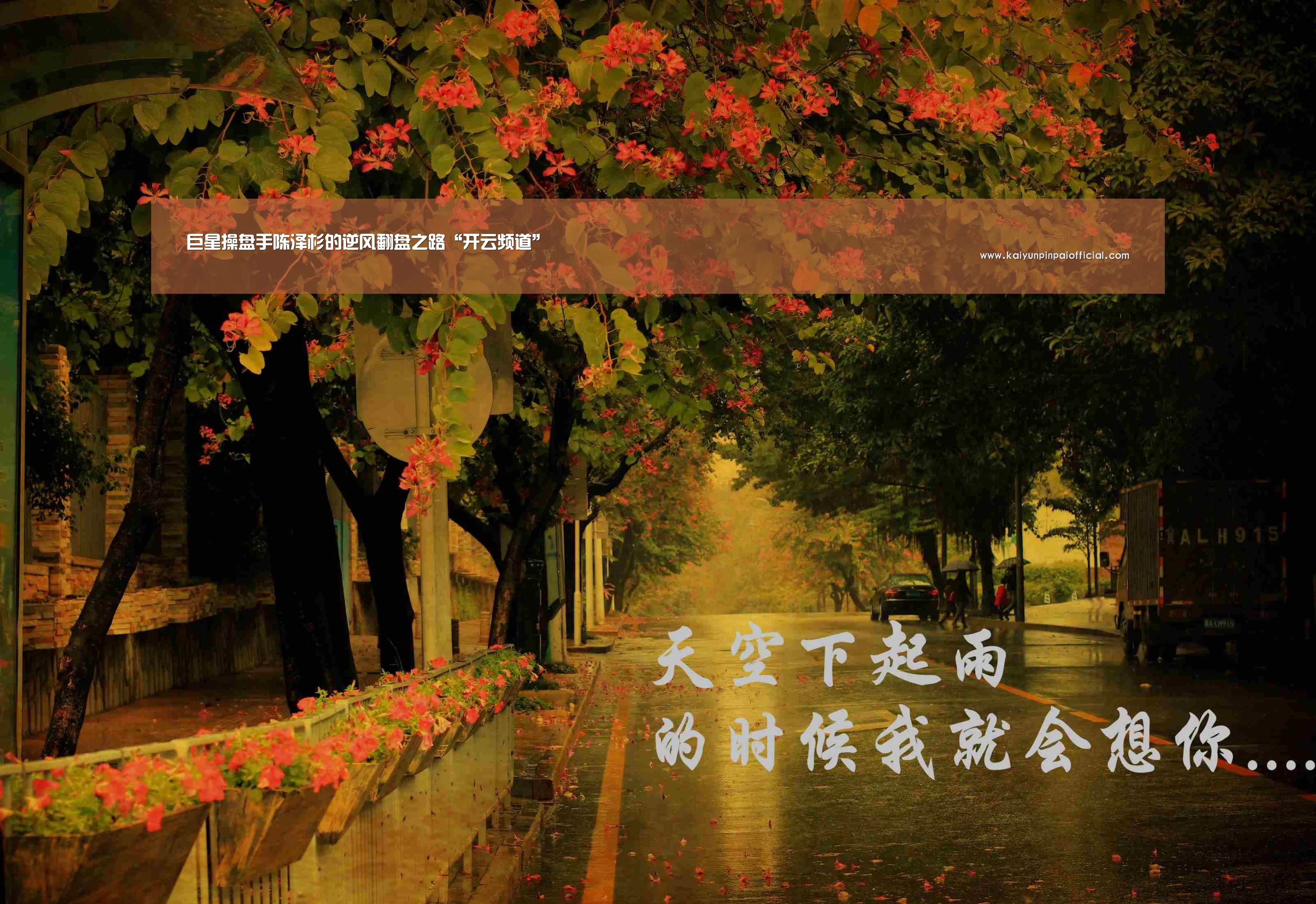 巨星操盘手陈泽杉的逆风翻盘之路“开云频道”(图4) 开云官方