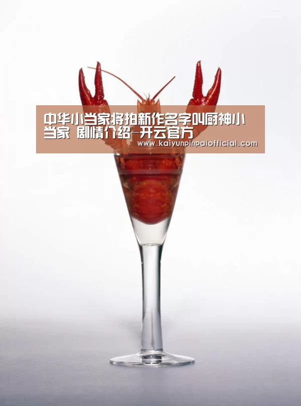 中华小当家将拍新作名字叫厨神小当家 剧情介绍-开云官方(图1) 开云APP