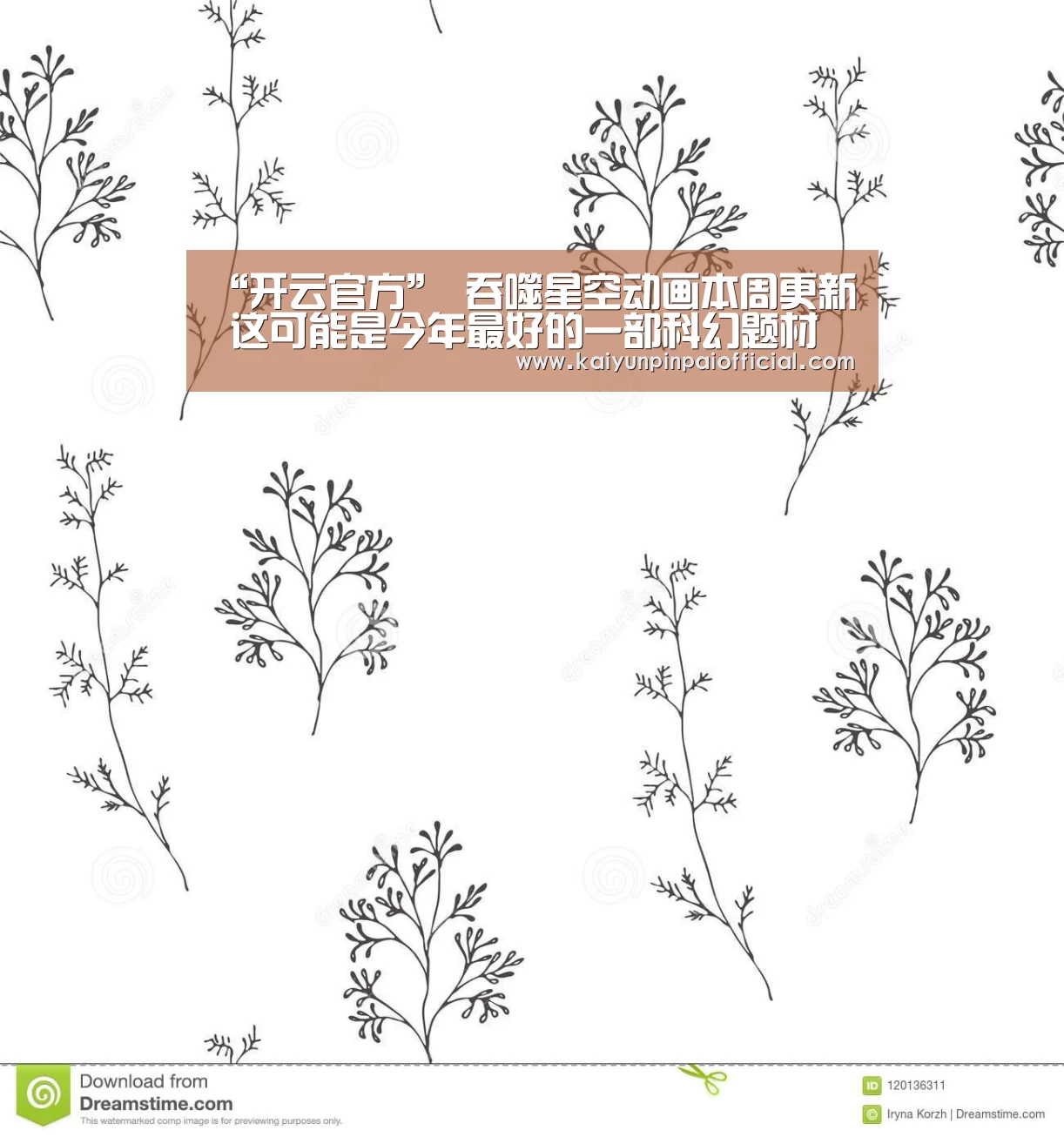 开云品牌